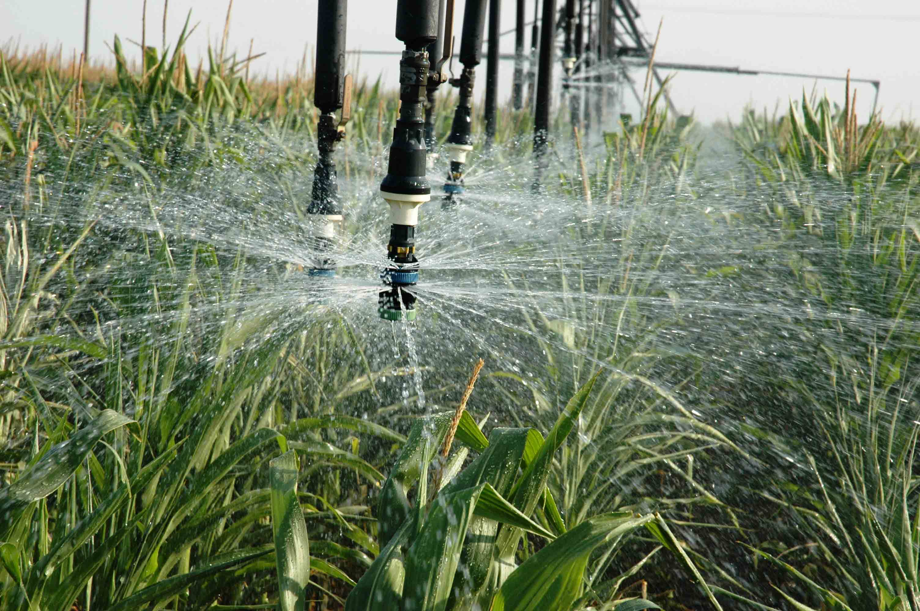 Overview of Irrigation Technologies